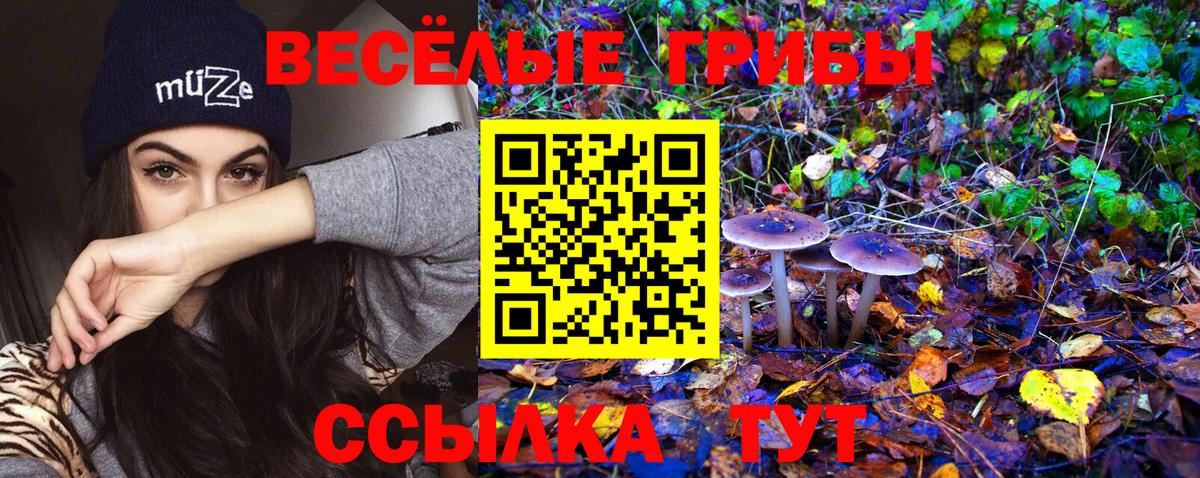 Псилоцибиновые грибы Magic Shrooms Большой Камень