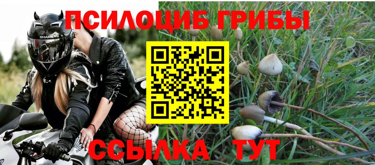 Большой Камень  что такое наркотик  Вход с VPN  Псилоцибиновые грибы Psilocybine cubensis  Псилоцибиновые грибы GOLDEN TEACHER 